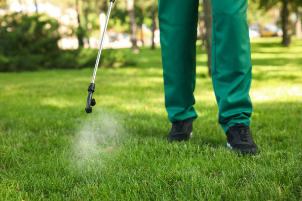 Best Insect Control  in Arbuckle, CA