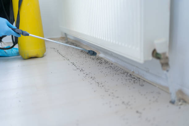 Professional Pest Control in Arbuckle, CA