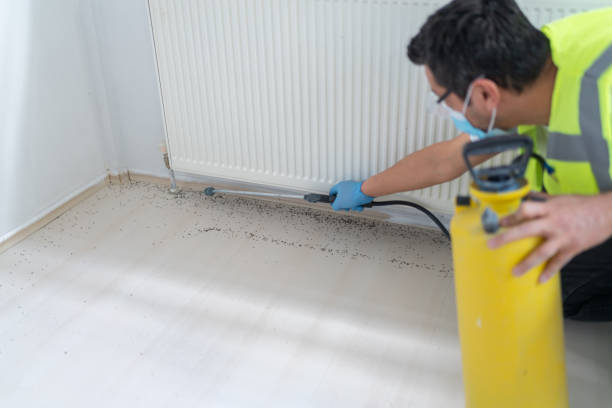 Flea Control Services in Arbuckle, CA